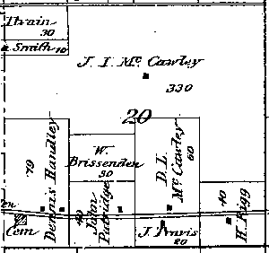 Range 8E, Township 3N, Section 20 - 1881